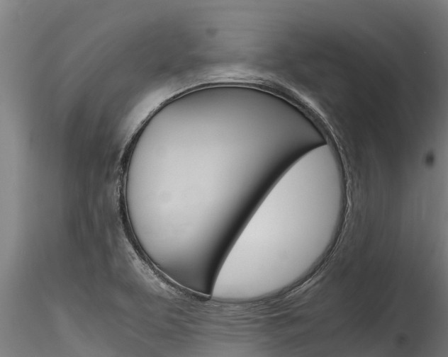 X0000116271463200911301005