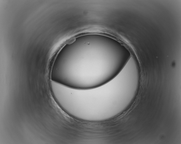 X0000116271464200911301005