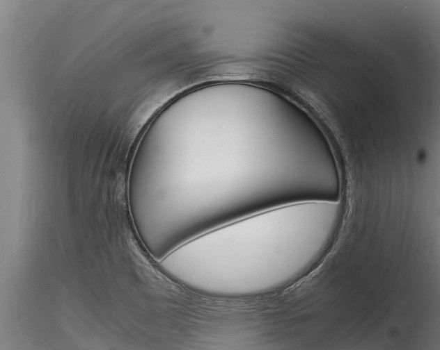 X0000116271465200911301005