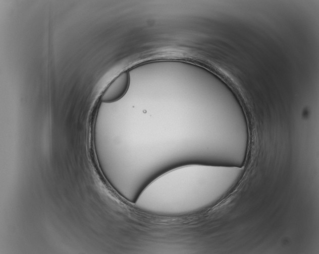 X0000116271467200911301005