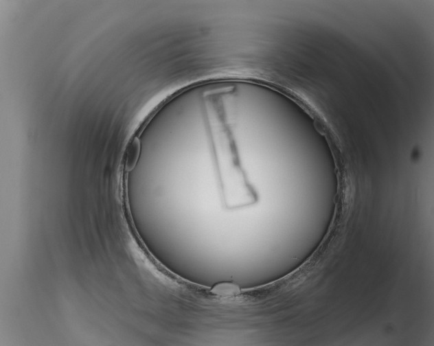 X0000116271468200911301005