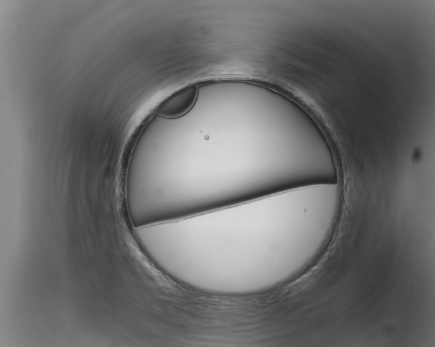 X0000116271469200911301005