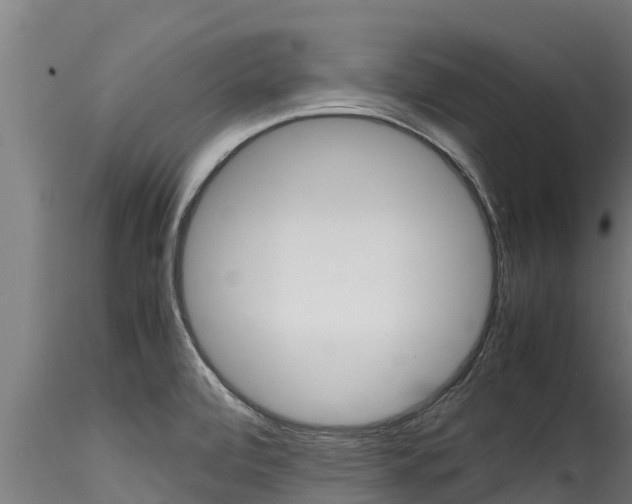 X0000116271472200911301005