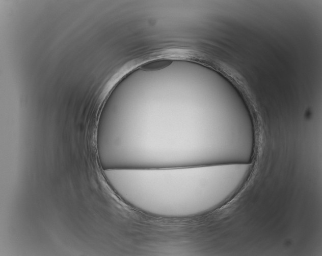 X0000116271473200911301005