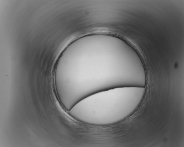 X0000116271475200911301005