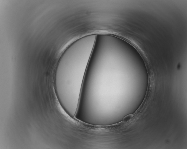 X0000116271476200911301005