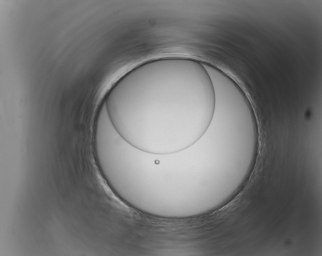 X0000116271477200911301005