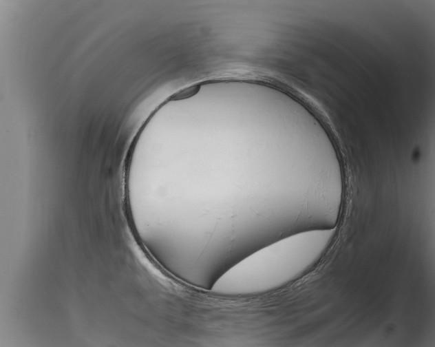 X0000116271479200911301005