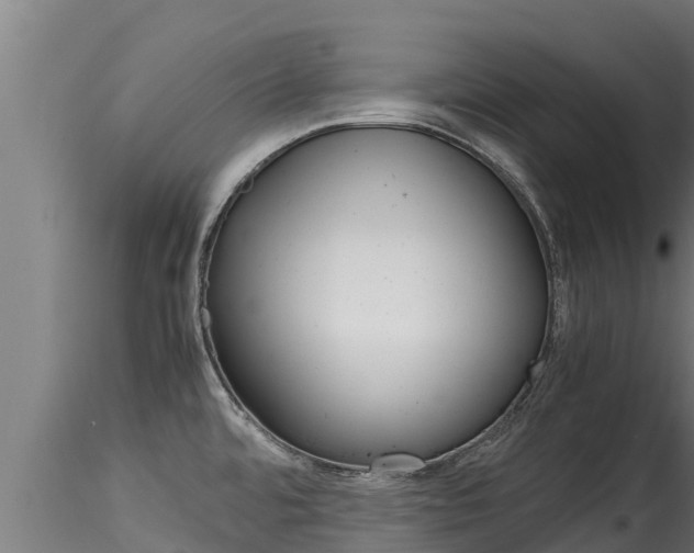 X0000116271480200911301005