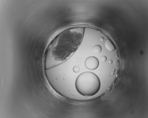 X0000116271482200911301005