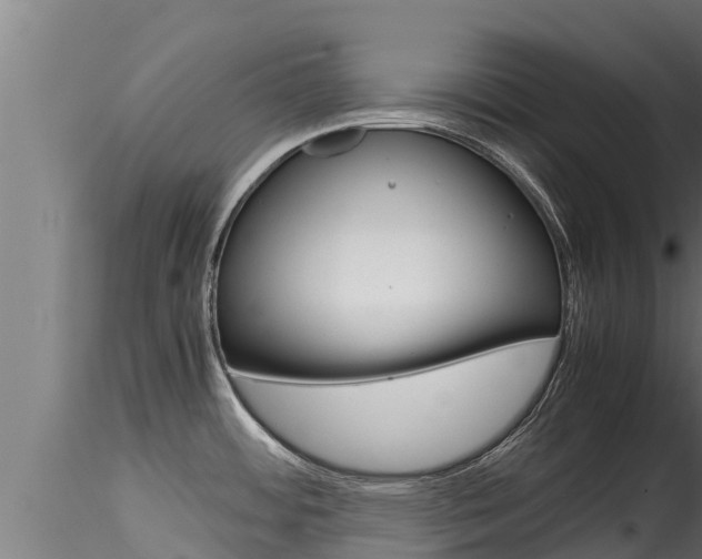 X0000116271484200911301005