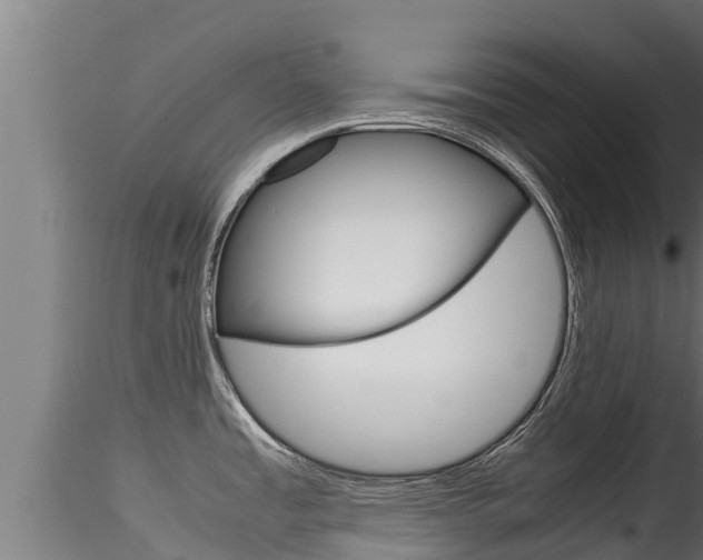X0000116271485200911301005
