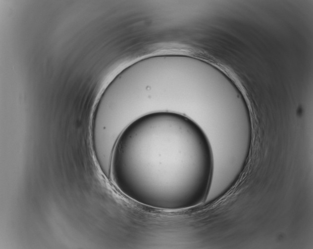 X0000116271488200911301005