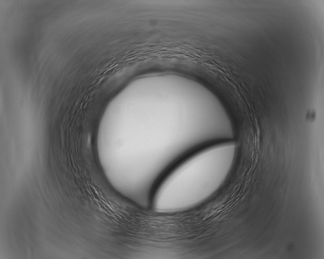 X0000116271489200911301004
