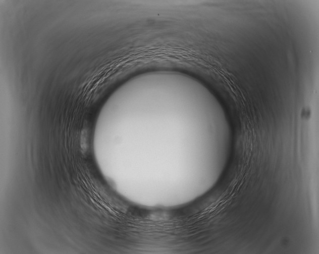 X0000116271490200911301004