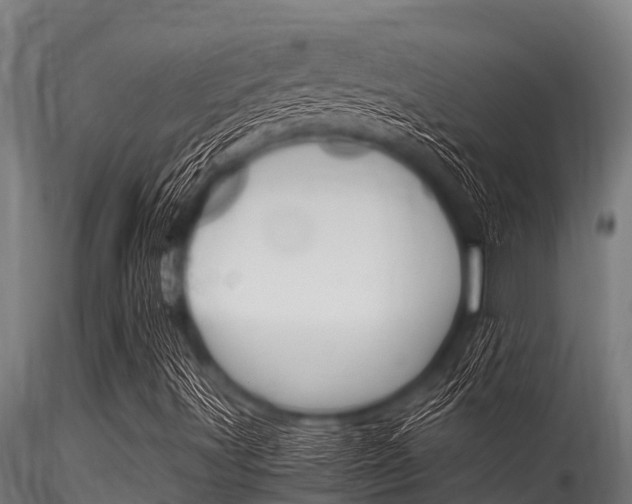 X0000116271491200911301004