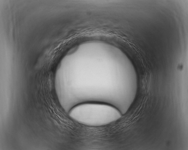 X0000116271493200911301004