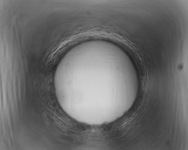 X0000116271494200911301004