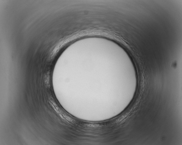X0000116271499200911301004