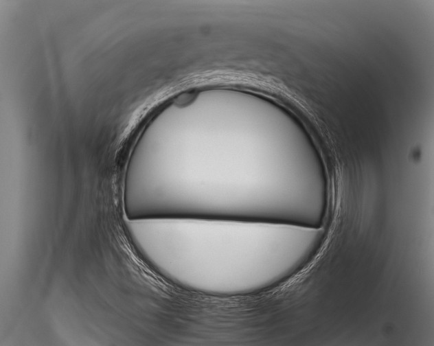 X0000116271501200911301004
