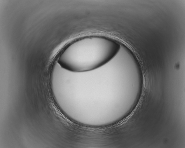 X0000116271502200911301004