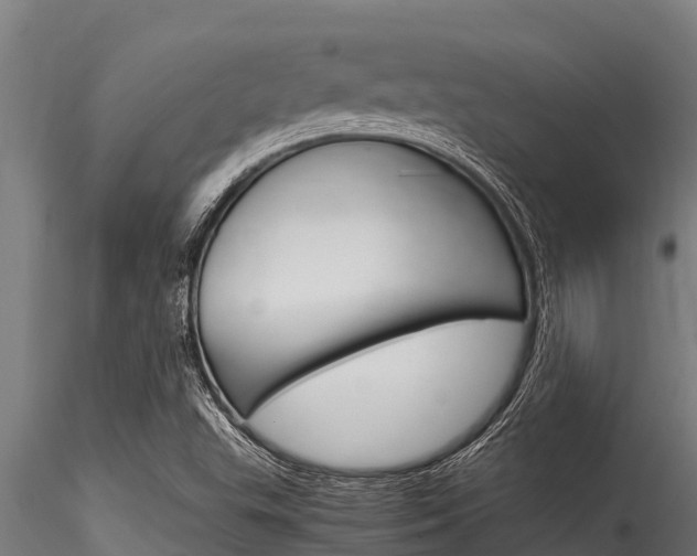 X0000116271503200911301004