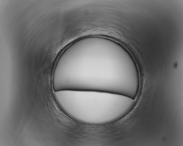 X0000116271505200911301004