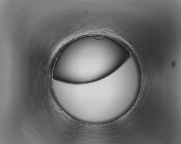 X0000116271506200911301004