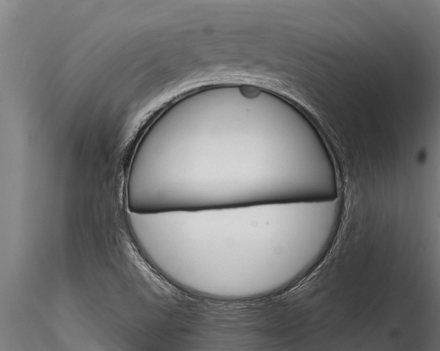 X0000116271507200911301004