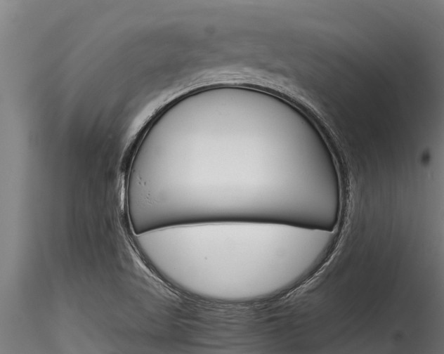 X0000116271509200911301004