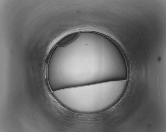 X0000116271510200911301004