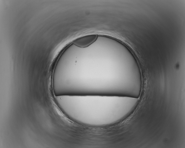 X0000116271511200911301004