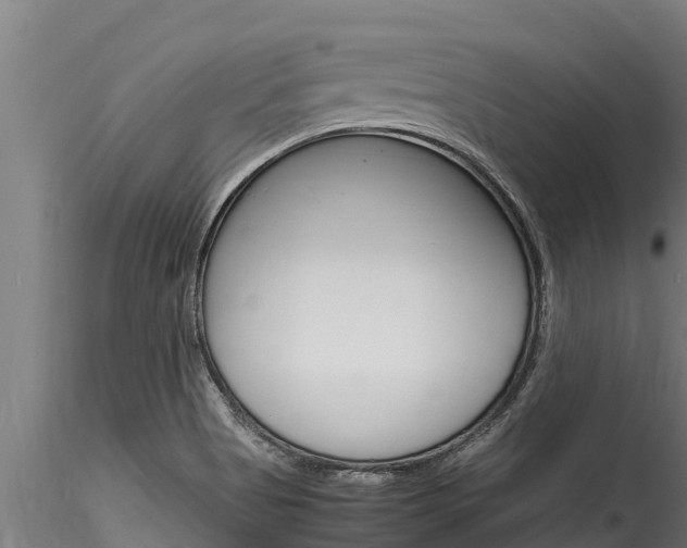 X0000116271513200911301004