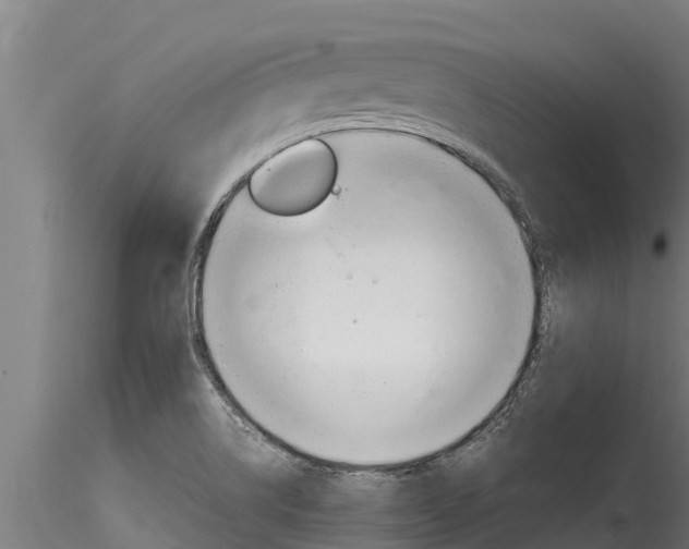 X0000116271514200911301004