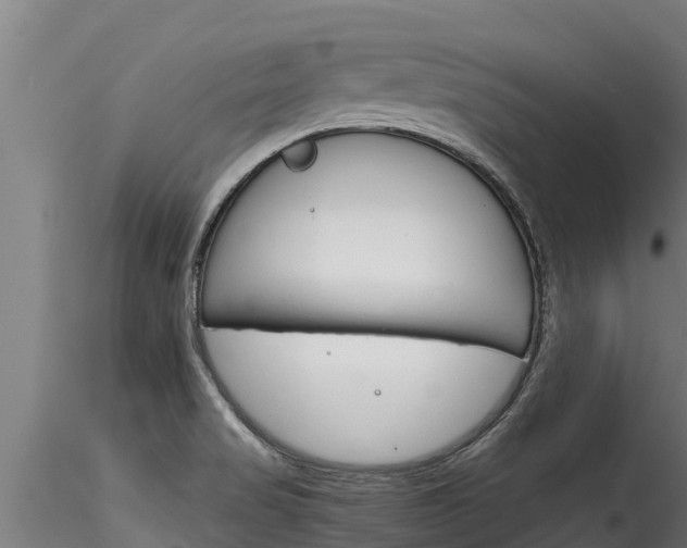 X0000116271517200911301004