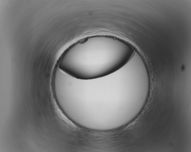 X0000116271518200911301004