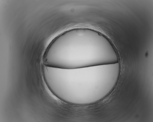 X0000116271519200911301004