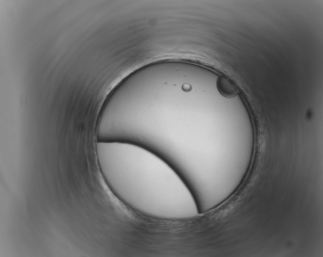 X0000116271521200911301004