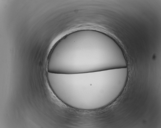 X0000116271522200911301004