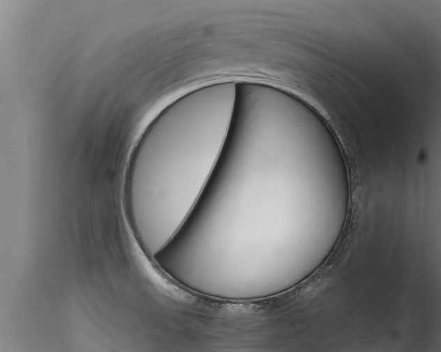 X0000116271523200911301004