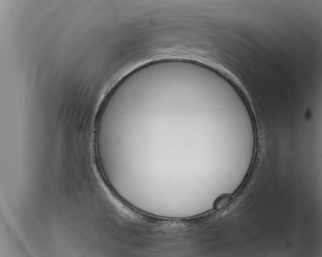 X0000116271525200911301004