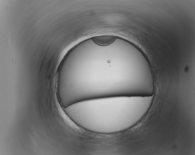 X0000116271526200911301004
