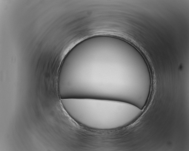 X0000116271529200911301004