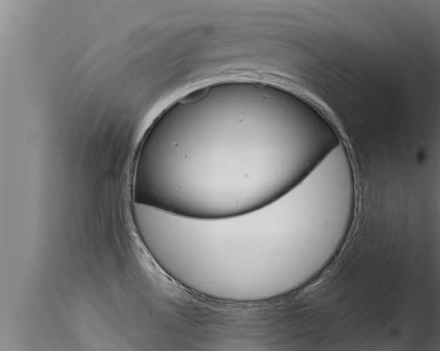 X0000116271530200911301004
