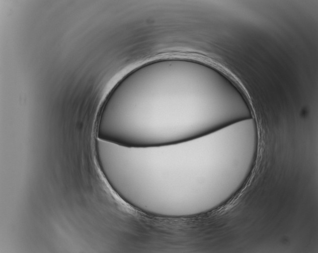X0000116271533200911301004