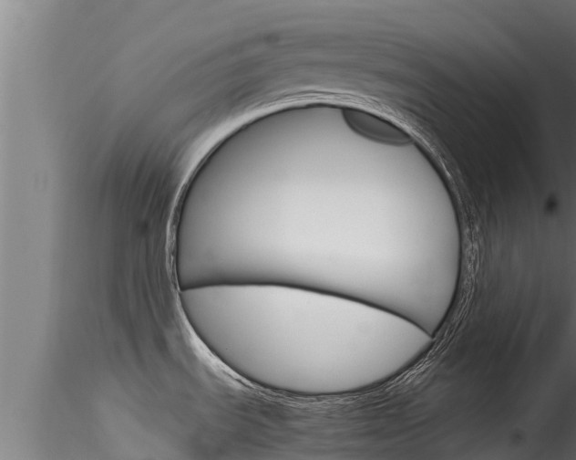 X0000116271535200911301005