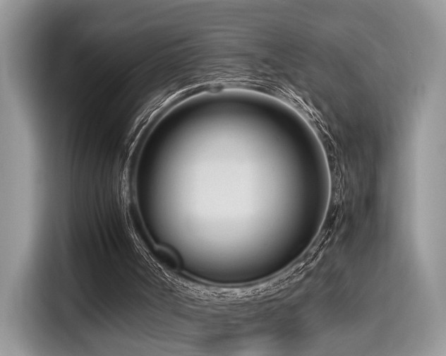 X0000116270002200911301222
