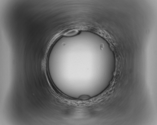 X0000116270003200911301222