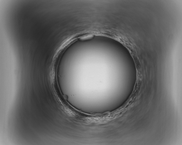 X0000116270005200911301222