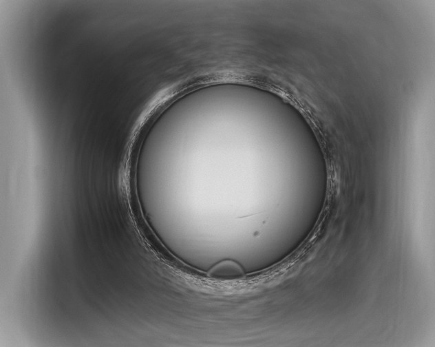 X0000116270006200911301222